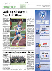 Síða 17