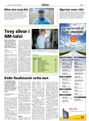 Síða 19