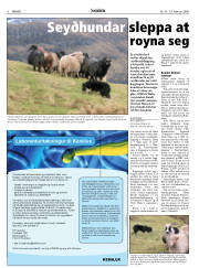 Síða 6
