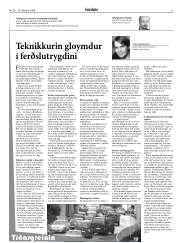 Síða 13