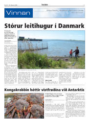 Síða 17