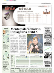 Síða 17