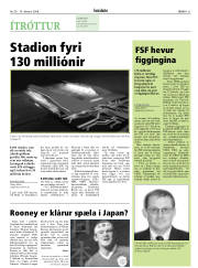 Síða 31