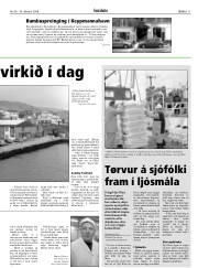 Síða 11