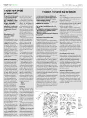 Síða 16