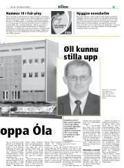 Síða 33