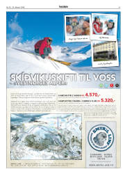 Síða 41