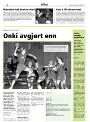 Síða 20