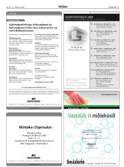 Síða 41