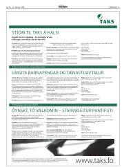 Síða 45