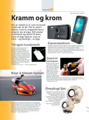 Síða 8