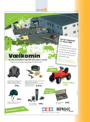 Síða 11