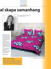 Síða 13