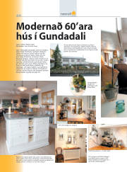 Síða 20