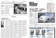 Síða 8