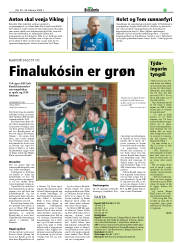 Síða 17