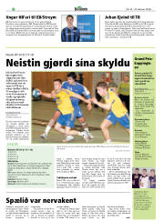 Síða 20