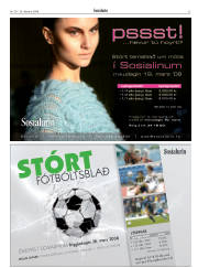Síða 33