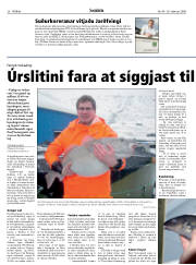 Síða 26