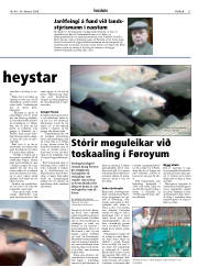 Síða 27