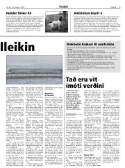 Síða 29