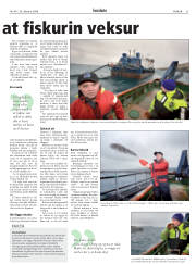 Síða 31