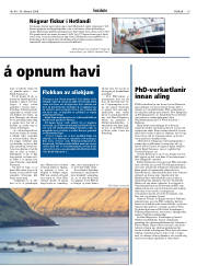 Síða 19