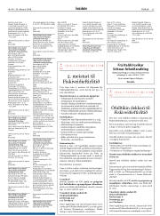 Síða 33