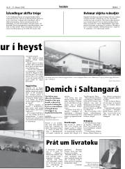 Síða 9