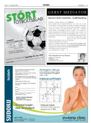Síða 33