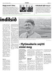 Síða 11