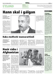 Síða 17