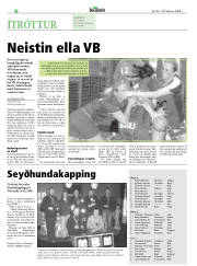 Síða 18