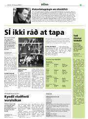 Síða 19