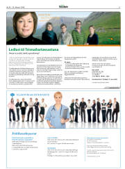 Síða 21