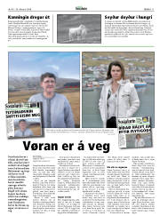 Síða 11