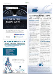 Síða 27