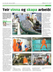 Síða 17