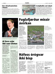 Síða 6