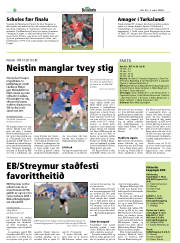 Síða 20