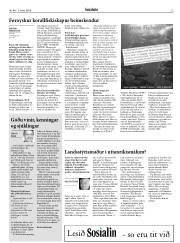 Síða 13