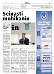 Síða 15