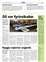 Síða 17
