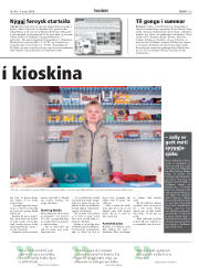 Síða 29