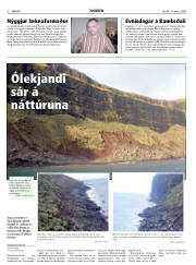 Síða 6