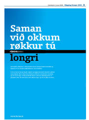 Síða 17