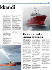 Síða 21
