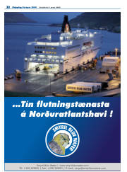 Síða 22
