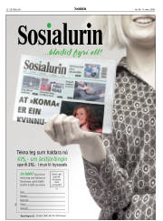 Síða 28