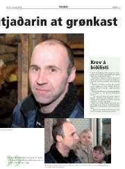 Síða 35